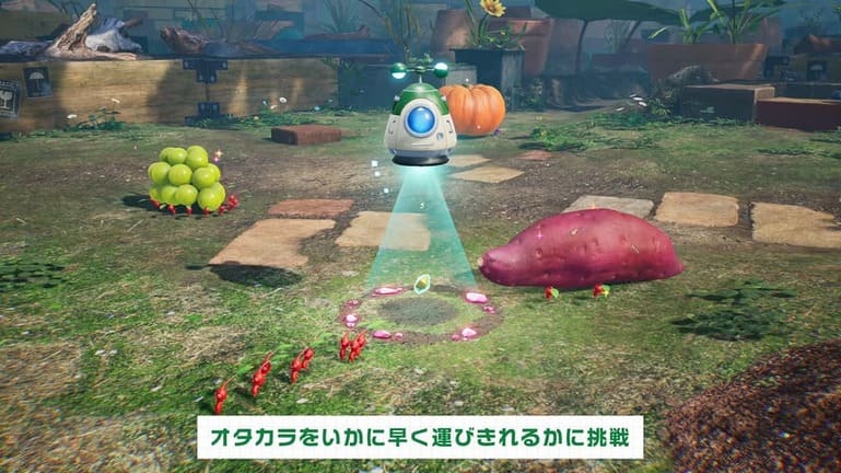 ピクミン4b